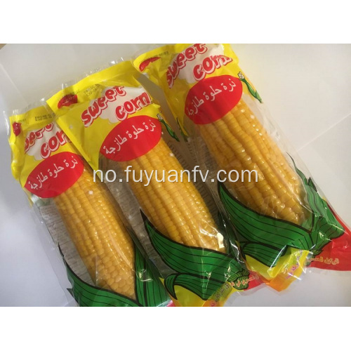 Corn til Irak markedet